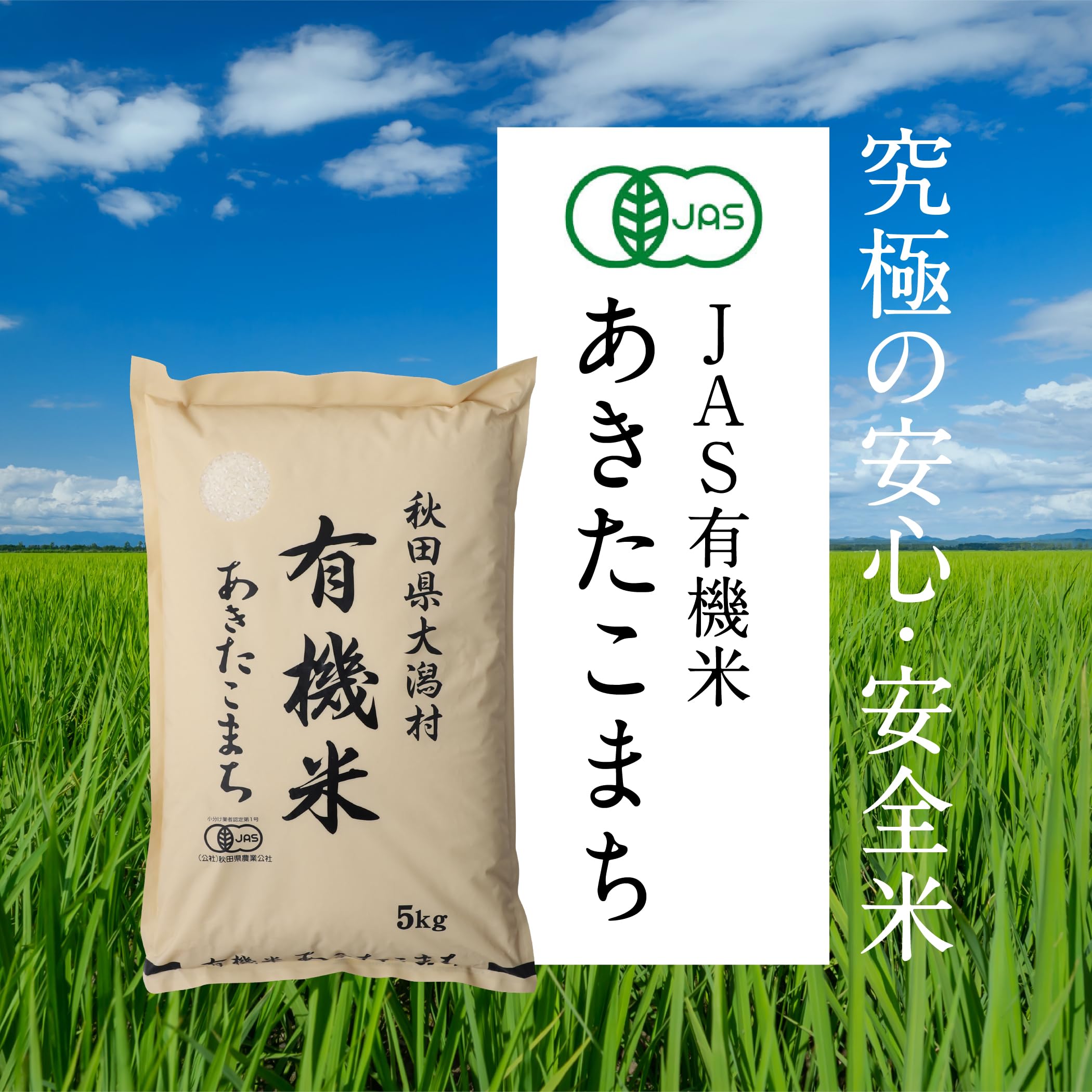 Amazon.co.jp: ソーラーライス 令和5年産秋田県大潟村産JAS有機米